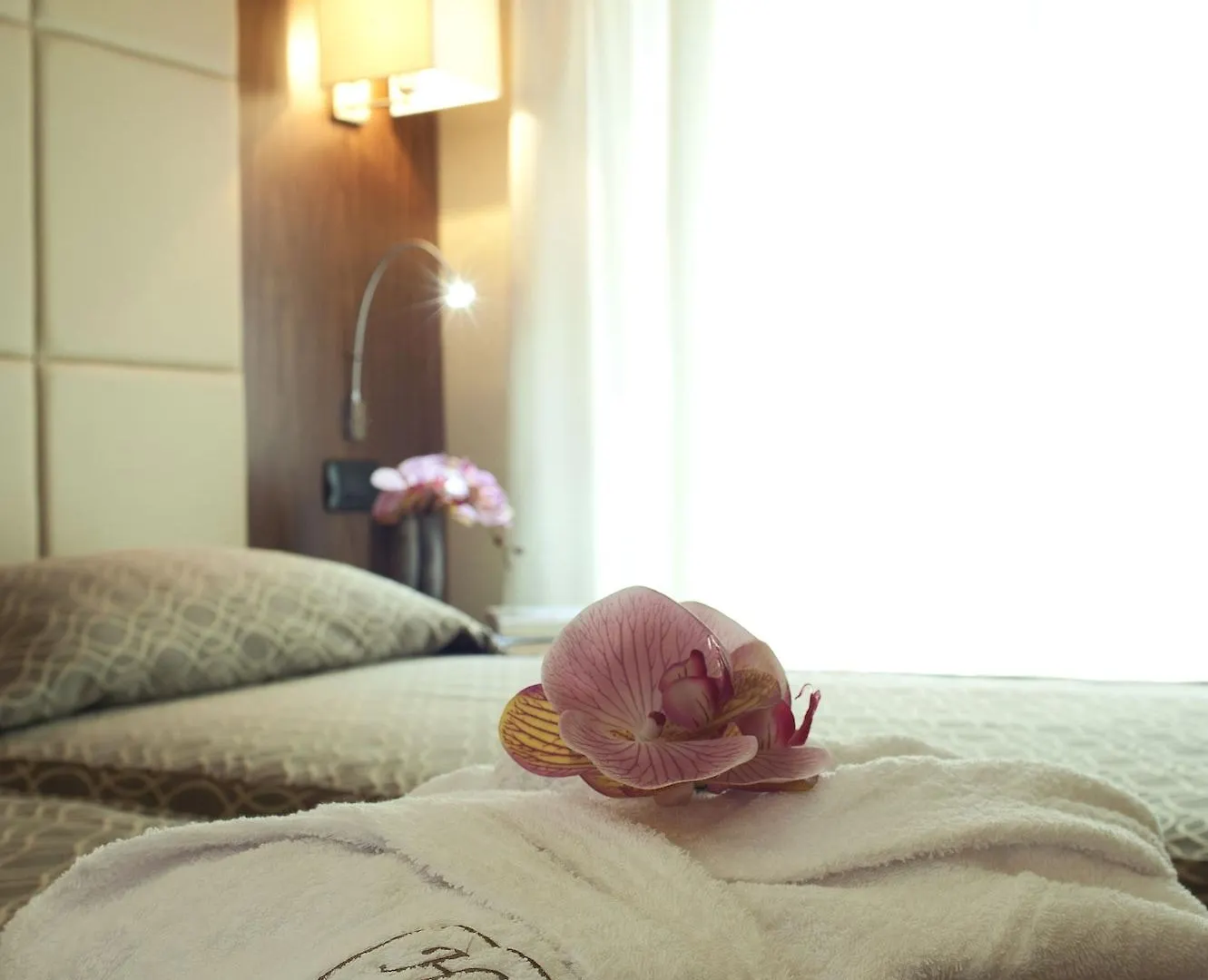 Hotel Fenice Milano